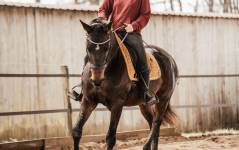 Marine PEQUIN - PHOTOGRAPHY QLM